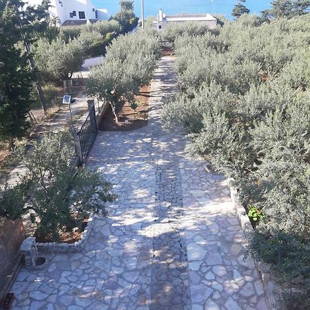 Villa L'Orizzonte Di Calabianca Castellammare del Golfo Ngoại thất bức ảnh