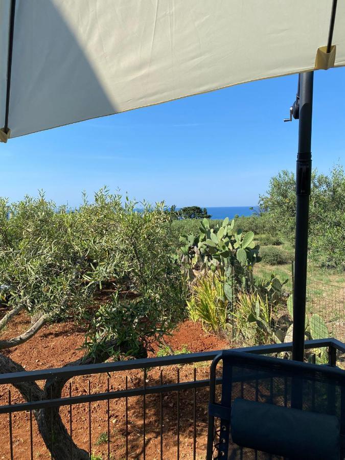 Villa L'Orizzonte Di Calabianca Castellammare del Golfo Ngoại thất bức ảnh