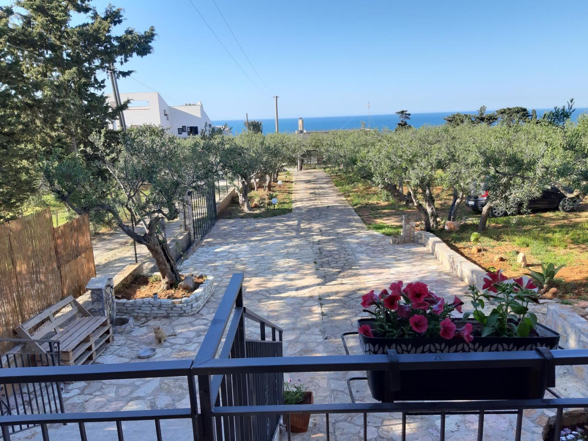 Villa L'Orizzonte Di Calabianca Castellammare del Golfo Ngoại thất bức ảnh