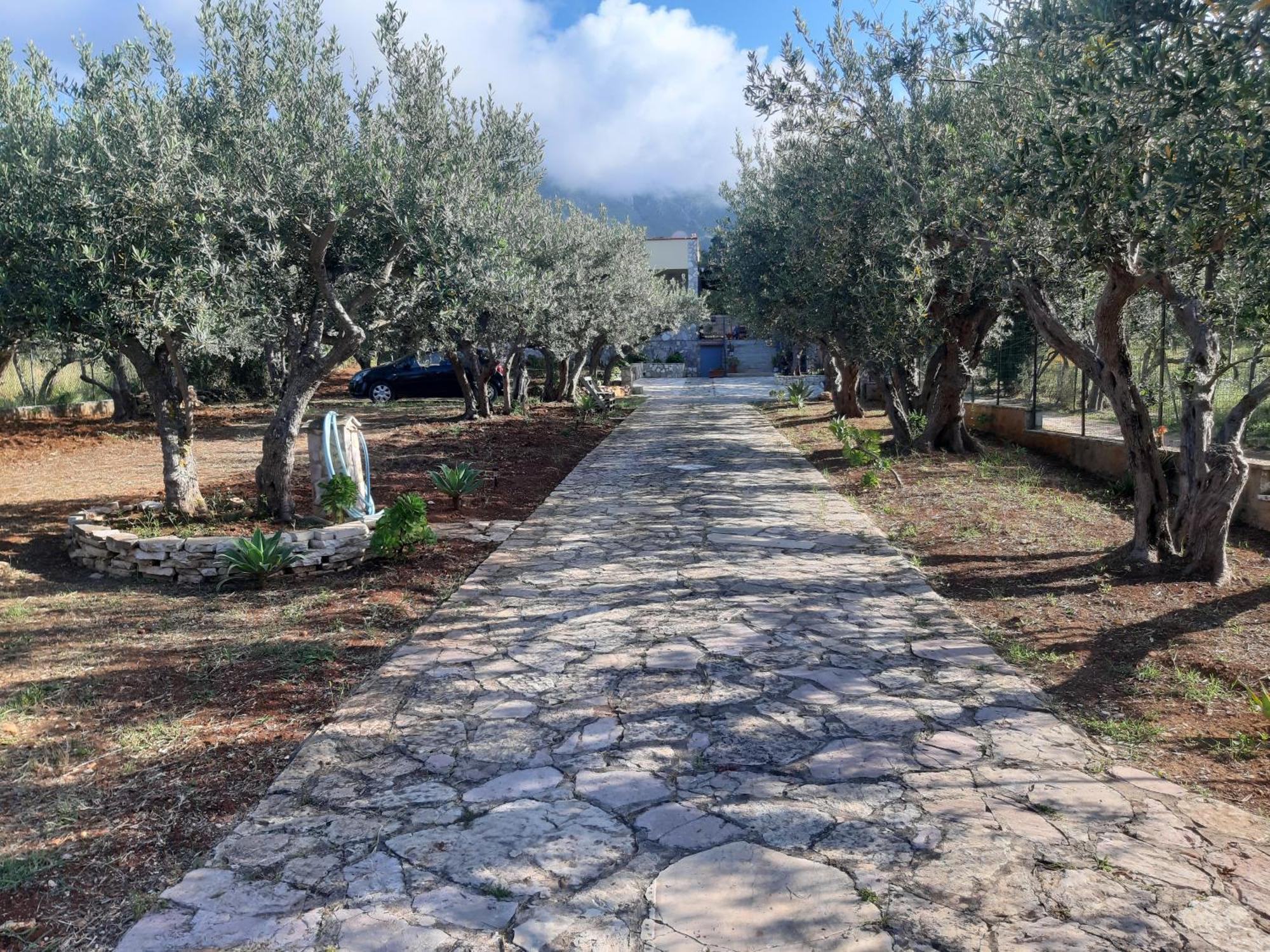 Villa L'Orizzonte Di Calabianca Castellammare del Golfo Ngoại thất bức ảnh