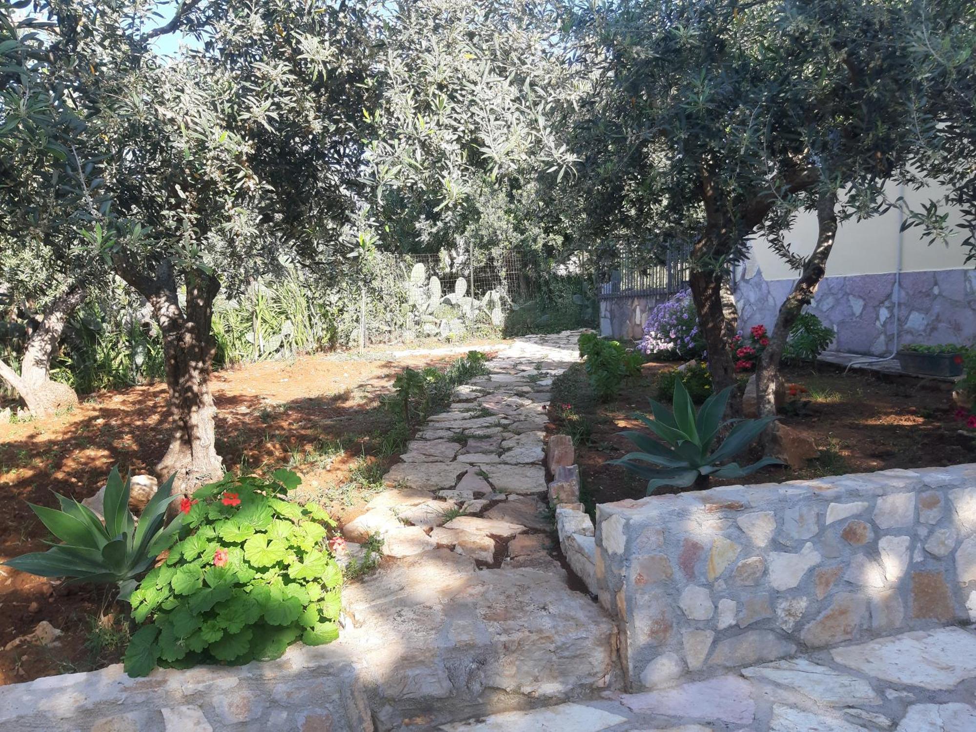 Villa L'Orizzonte Di Calabianca Castellammare del Golfo Ngoại thất bức ảnh