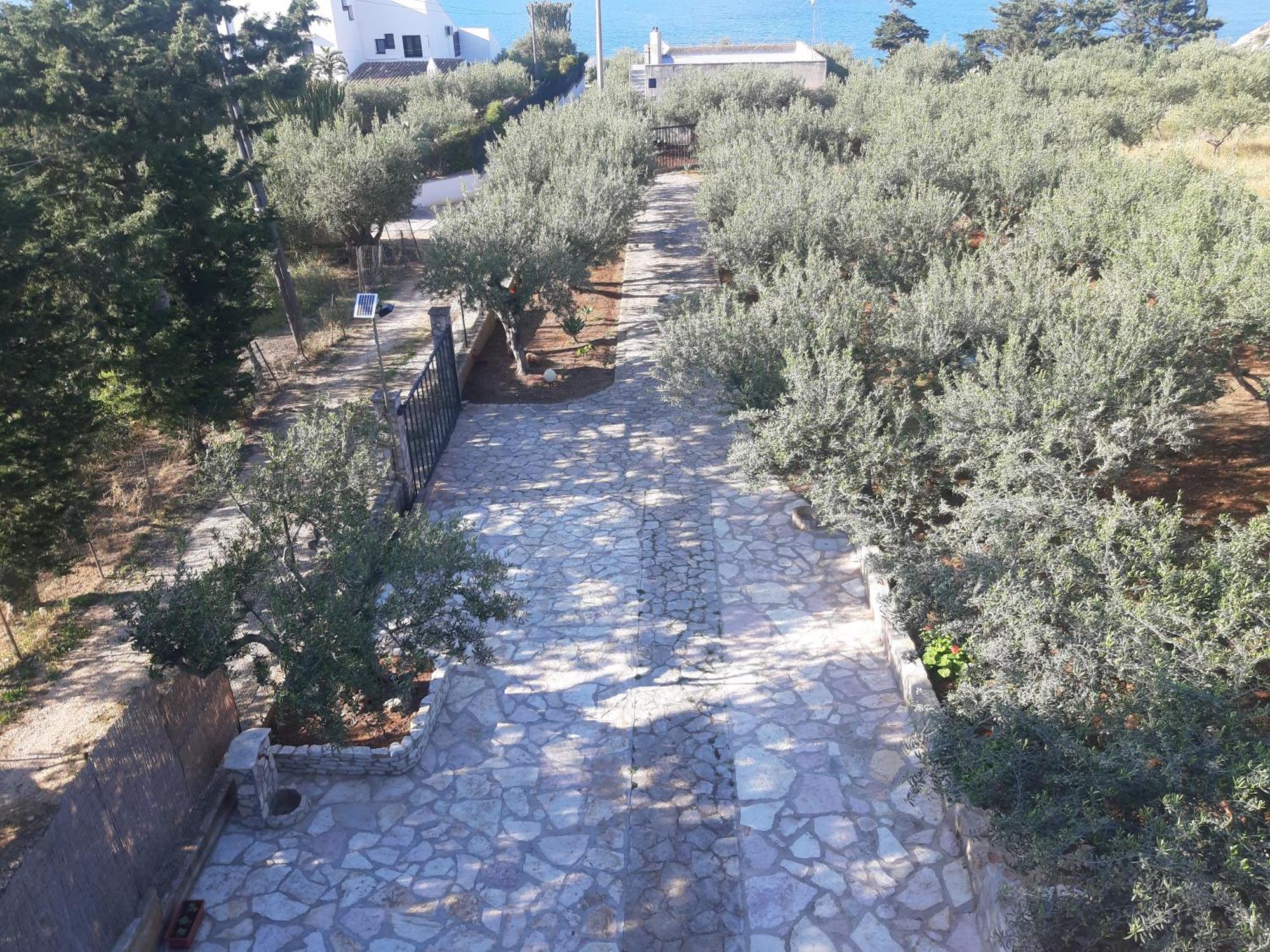 Villa L'Orizzonte Di Calabianca Castellammare del Golfo Ngoại thất bức ảnh